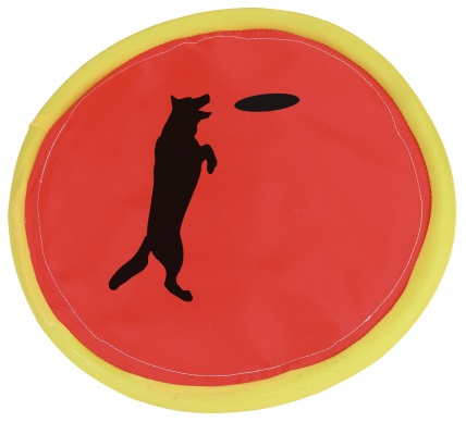 Frisbee