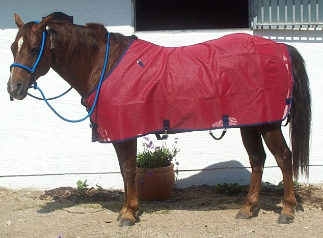 Fly Sheet Kensington 